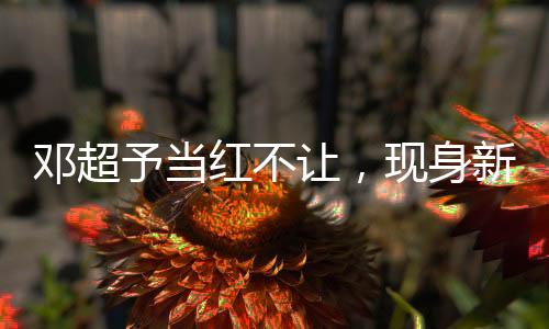 鄧超予當紅不讓，現身新加坡獲封“東方新偶像”！