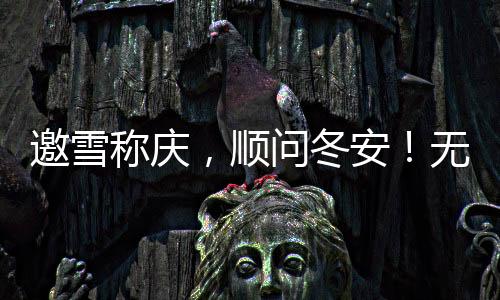 邀雪稱慶，順問冬安！無懼嚴寒的凌宇“小白罐”暖心交付！