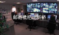 郵寄枇杷出新橋