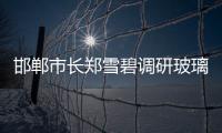 邯鄲市長鄭雪碧調(diào)研玻璃產(chǎn)業(yè)發(fā)展,行業(yè)資訊