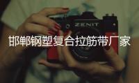 邯鄲鋼塑復合拉筋帶廠家采購供應
