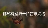 邯鄲鋼塑復合拉筋帶規格