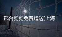 邢臺狗狗免費贈送(上海狗狗免費贈送)