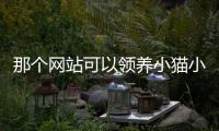 那個網站可以領養小貓小狗嗎？在那個平臺可以領養小貓小狗