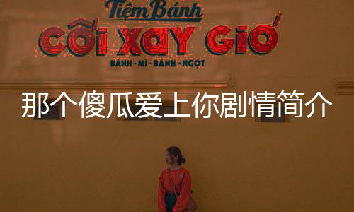 那個傻瓜愛上你劇情簡介