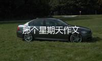 那個星期天作文