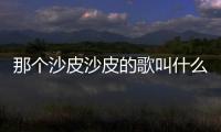 那個沙皮沙皮的歌叫什么名字(沙皮鱷魚歌叫什么)