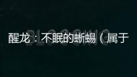 醒龍：不眠的蜥蜴（屬于畸齒龍科恐龍數(shù)量不多）