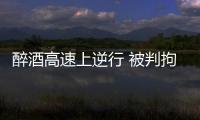 醉酒高速上逆行 被判拘役3個月