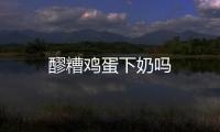醪糟雞蛋下奶嗎