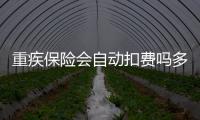 重疾保險會自動扣費嗎多少錢一年