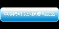 重疾險(xiǎn)可以退保費(fèi)嗎怎么退的