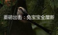 重磅出擊：兔寶寶全屋新品亮相建博會，實力出圈！
