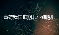 重磅我國Ⅲ期非小細(xì)胞肺癌治療專家一致發(fā)布