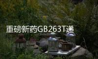 重磅新藥GB263T遞交首次人體臨床申請 嘉和生物研發硬實力繪價值藍圖