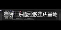 重磅｜東鵬控股重慶基地8#智能巖板生產線點火儀式隆重舉辦