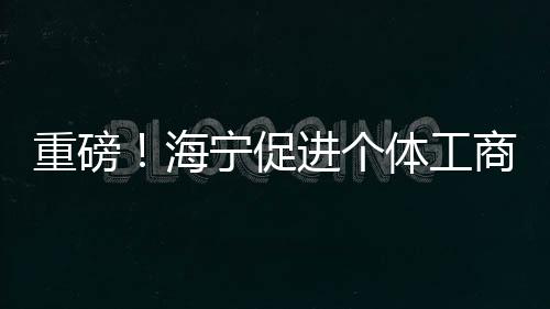重磅！海寧促進個體工商戶發展“二十條”來了