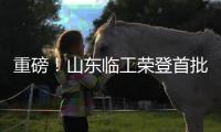重磅！山東臨工榮登首批山東省級綠色低碳高質量發展建設試點企業榜單！