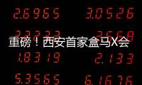 重磅！西安首家盒馬X會員店落戶灃東，三橋商圈再迎利好