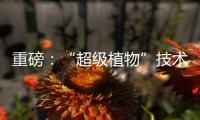 重磅：“超級植物”技術來了！—新聞—科學網