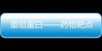重組蛋白——藥物靶點