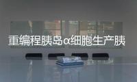 重編程胰島α細胞生產胰島素，為糖尿病治療帶來希望