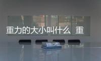重力的大小叫什么  重力的大小叫啥