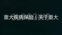 重大疾病保險（關于重大疾病保險的基本情況說明介紹）