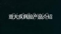 重大疾病險產品介紹