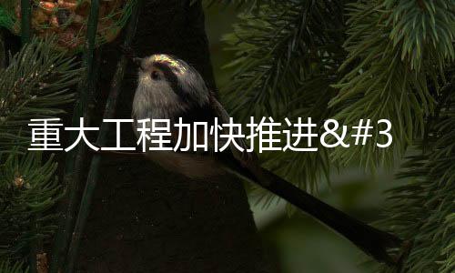 重大工程加快推進 助力高質量發展