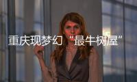 重慶現夢幻“最牛樹屋” 由9間房屋組成（組圖）