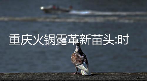 重慶火鍋露革新苗頭:時(shí)興搞外賣(mài) 走到哪就吃到哪