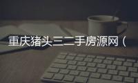 重慶豬頭三二手房源網（武漢豬頭三個人房源網）