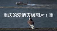 重慶的愛情天梯圖片（重慶愛情天梯的故事）