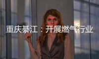 重慶綦江：開展燃氣行業消費體察活動