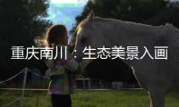 重慶南川：生態(tài)美景入畫來