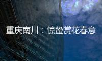 重慶南川：驚蟄賞花春意濃
