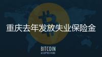 重慶去年發放失業保險金5.5億元