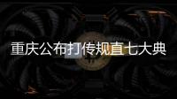 重慶公布打傳規(guī)直七大典型案例