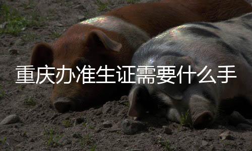 重慶辦準生證需要什么手續