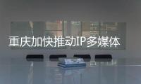 重慶加快推動IP多媒體子系統（IMS）網絡互聯互通