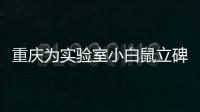 重慶為實驗室小白鼠立碑 每年10萬動物獻身科學