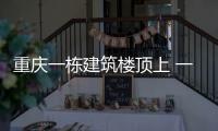 重慶一棟建筑樓頂上 一場“屋頂農場”稻谷收割比賽吸引了市民游客體驗