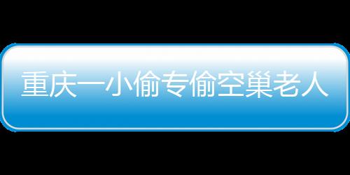 重慶一小偷專偷空巢老人被抓獲