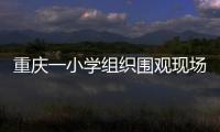 重慶一小學組織圍觀現場殺年豬 網友意見褒貶不一