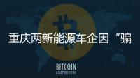 重慶兩新能源車企因“騙補”受罰