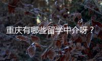 重慶有哪些留學中介呀？ 重慶留學中介電話