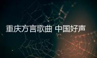 重慶方言歌曲 中國好聲音（重慶方言歌曲）