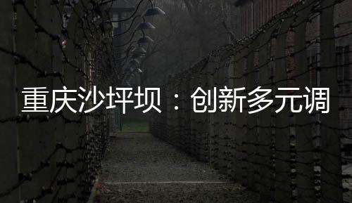 重慶沙坪壩：創新多元調解機制 高效化解消費糾紛