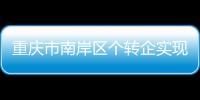 重慶市南岸區個轉企實現“零”的突破